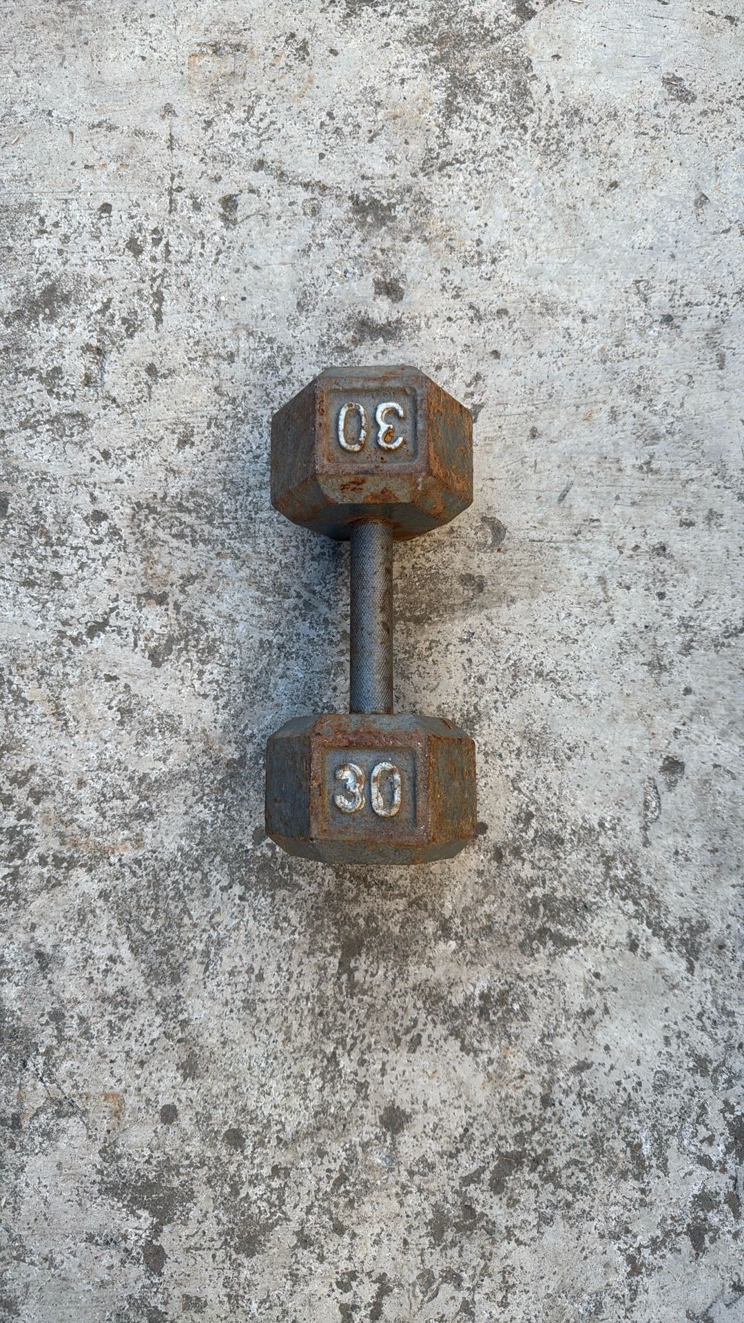 30lb Dumbbell