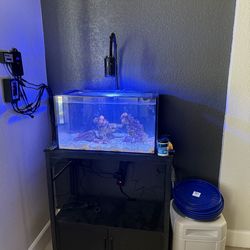 20 AIO Long Aquarium rehome clown and anemone