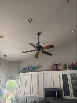 Ceiling fan #1