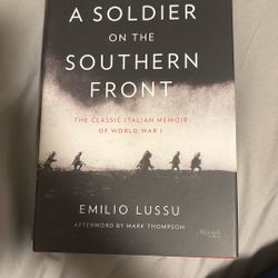 A Soldier Ok The Southern Front By Emilio Lissi