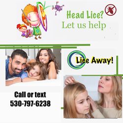 Lice Treatment Services