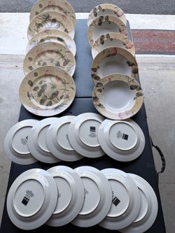 $15 Genuine stoneware dining plate set