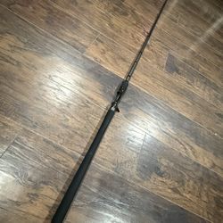 Low Down Customs Swimbait Rod