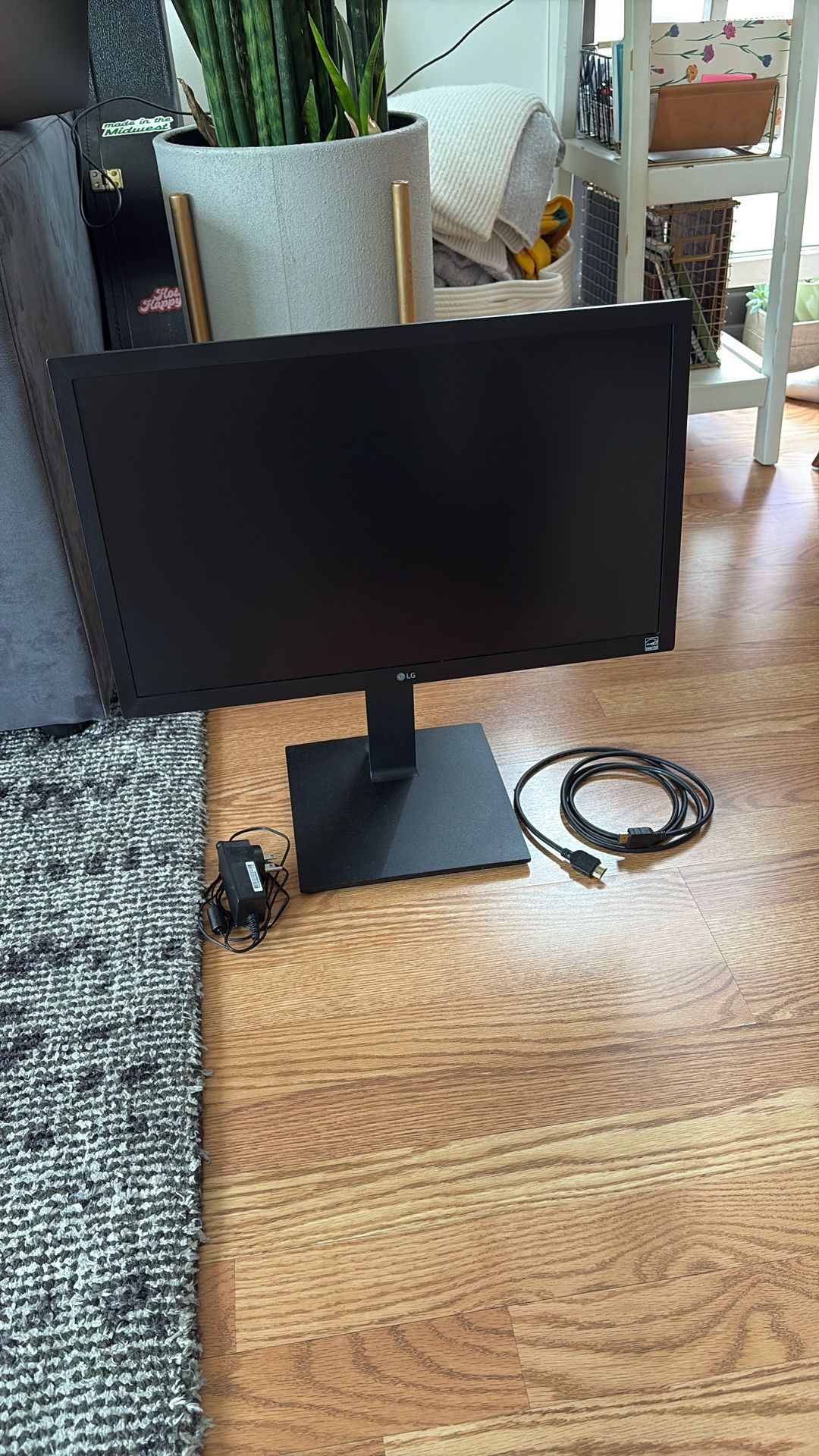 LG Monitor (21in)