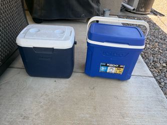 Two extra large lunch coolers
