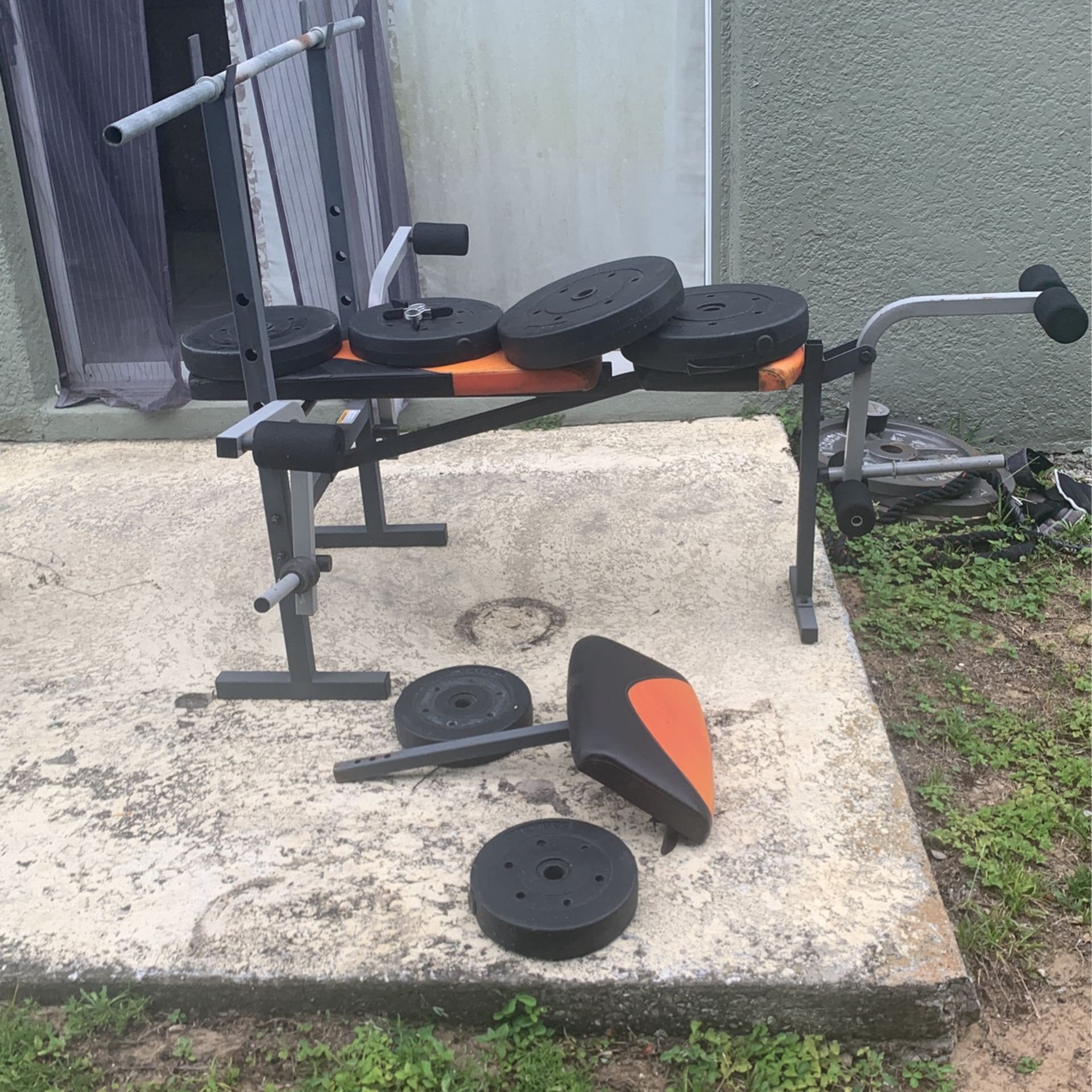 Weight Bench Press Plus Barbell Weights