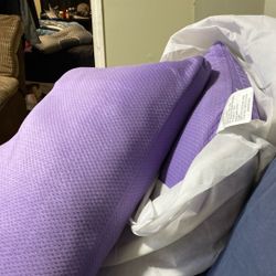 Purple Pillow