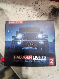 Perpotad Halogen lights