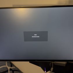 LG Monitor 