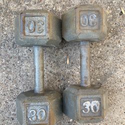 30 Pound Dumbbells