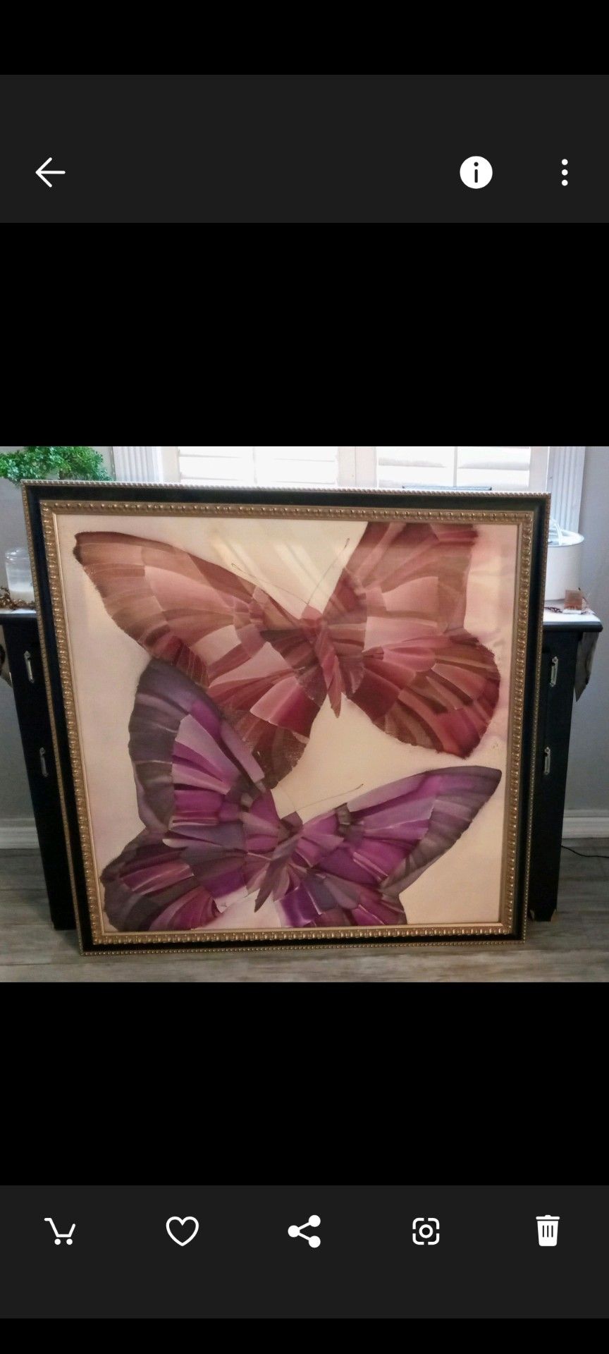 40x41 Butterfly Picture