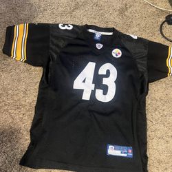 Troy Polomalu Jersey