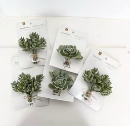 Batch of Five 5" Artificial Succulent Plants