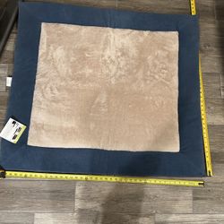 40in L x 36in W  - Tan with Blue Border Pet Bed