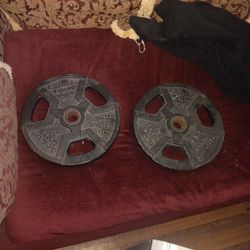 25 Pound Weight Plate Set