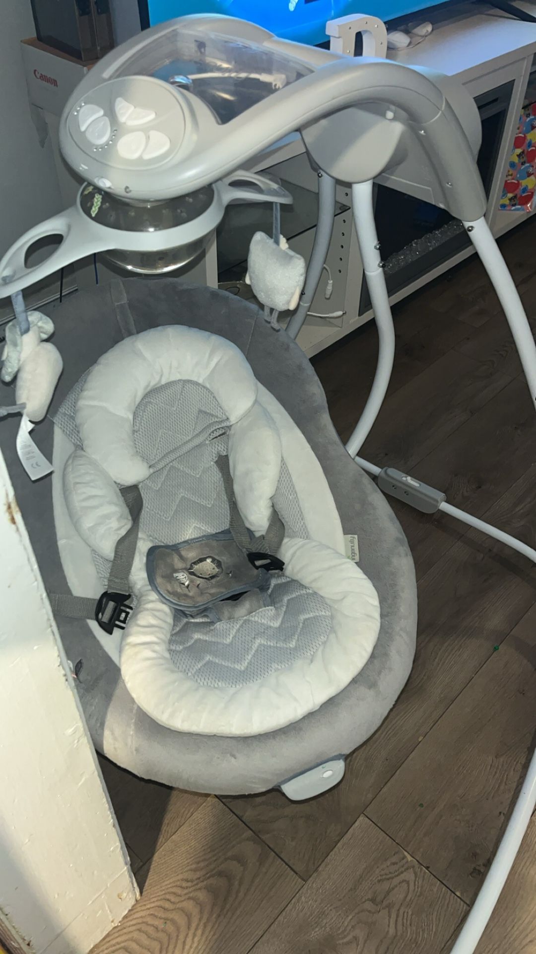 Baby Swing