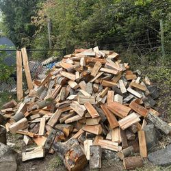 Dry Firewood