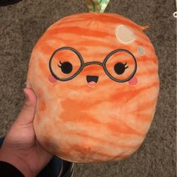 Judy The Tangerine Squishmallow 