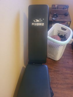 Flybird Bench