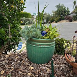 Four beautiful ceramic pots with succulents