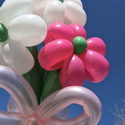Balloon Flower bouquet