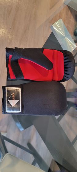 Martial Arts Sparring Gloves