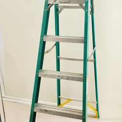 Werner FS100 Fiberglass Multi-Purpose Step Ladder, 6ft
