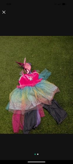 Fairy Costume 3/4 $10