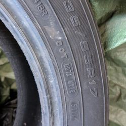 Tier