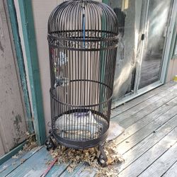 Large bird cage $350 or best offer