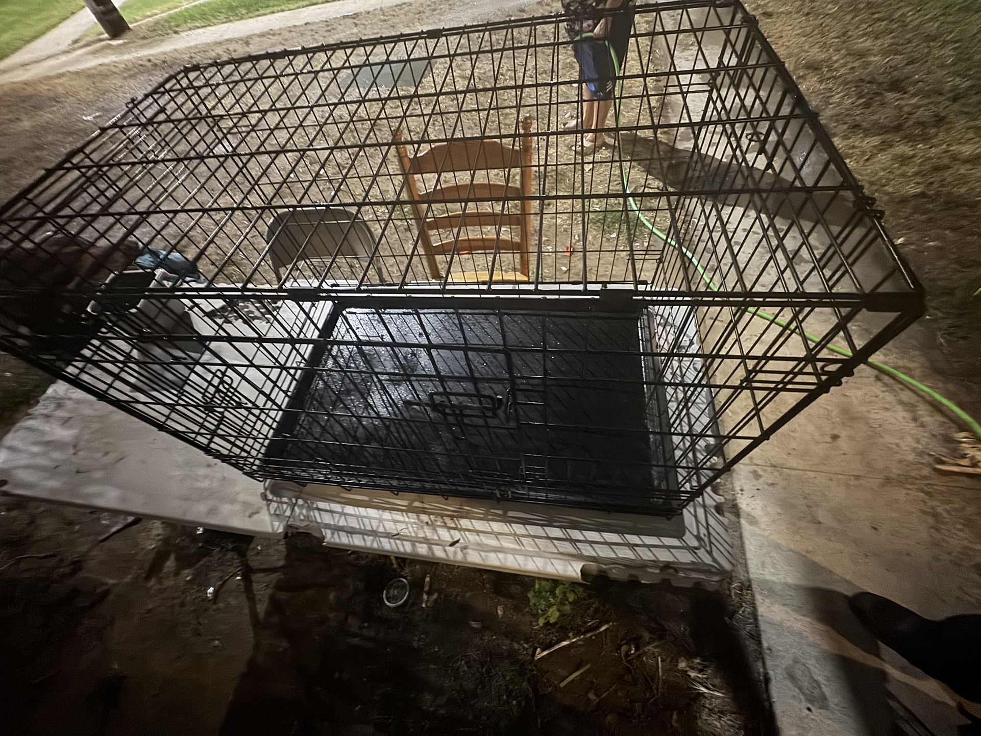 Foldable Dog Crate
