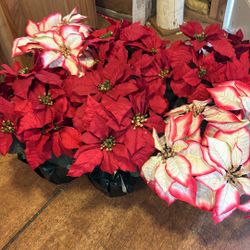 6 Fake Poinsettias, 4 Red, 2 White/ Medium/ Green Wrap