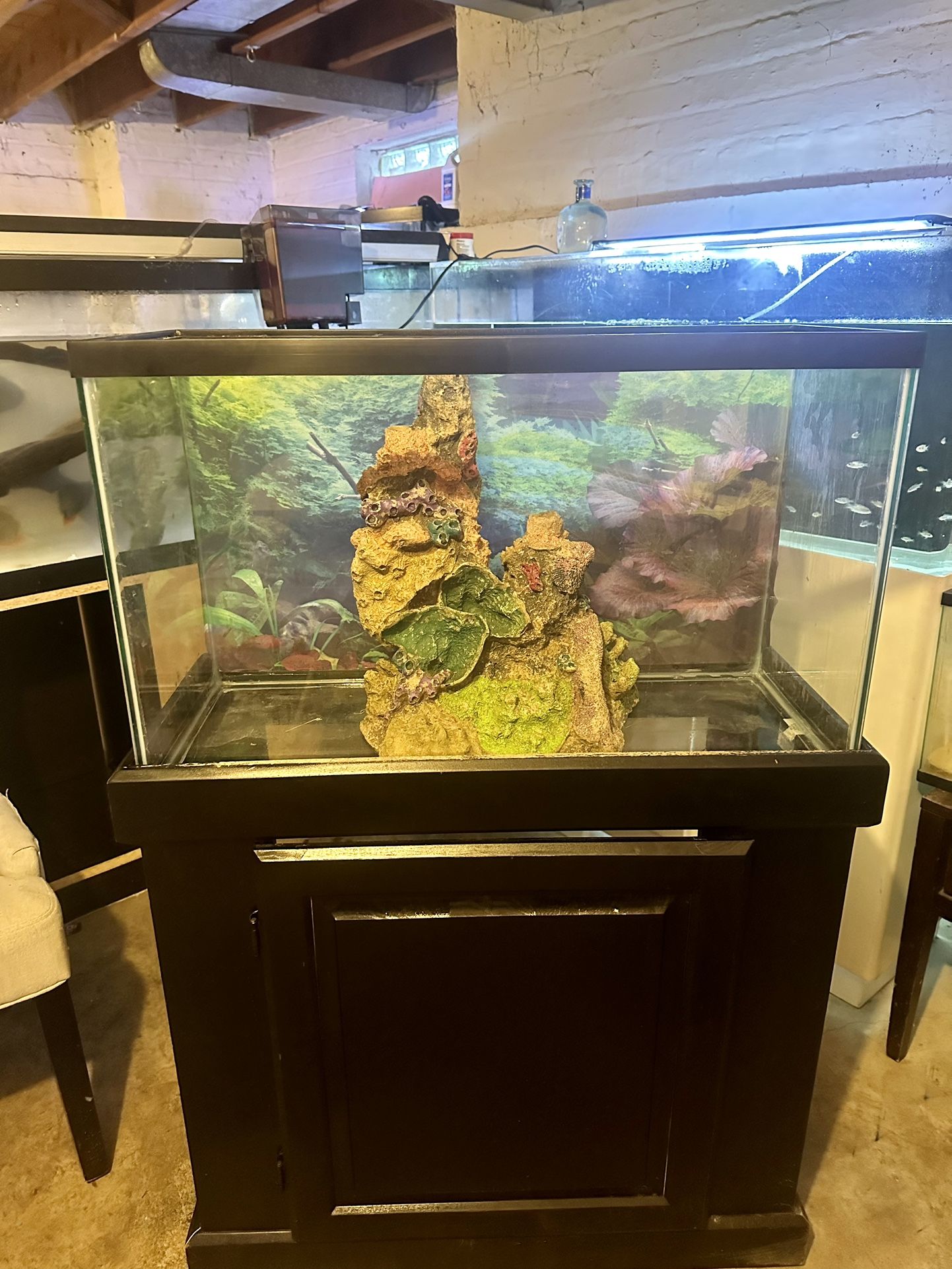 40 Gallon Aquarium with Stand