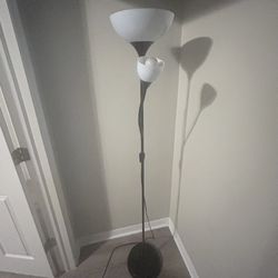 Floor Lamp With 2 Lights 