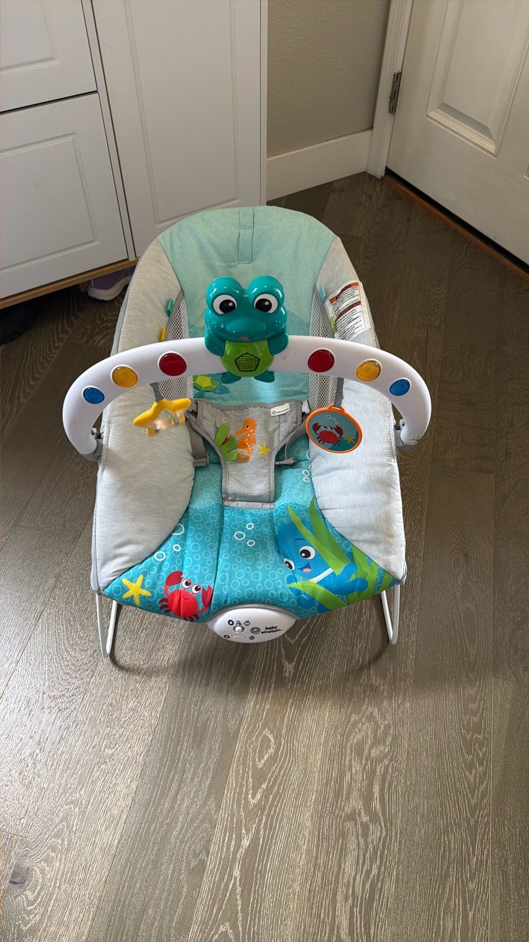 Baby Bouncer