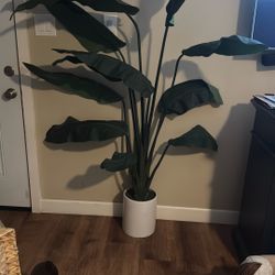 Home decoration