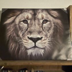 Lion Canvas Piece 