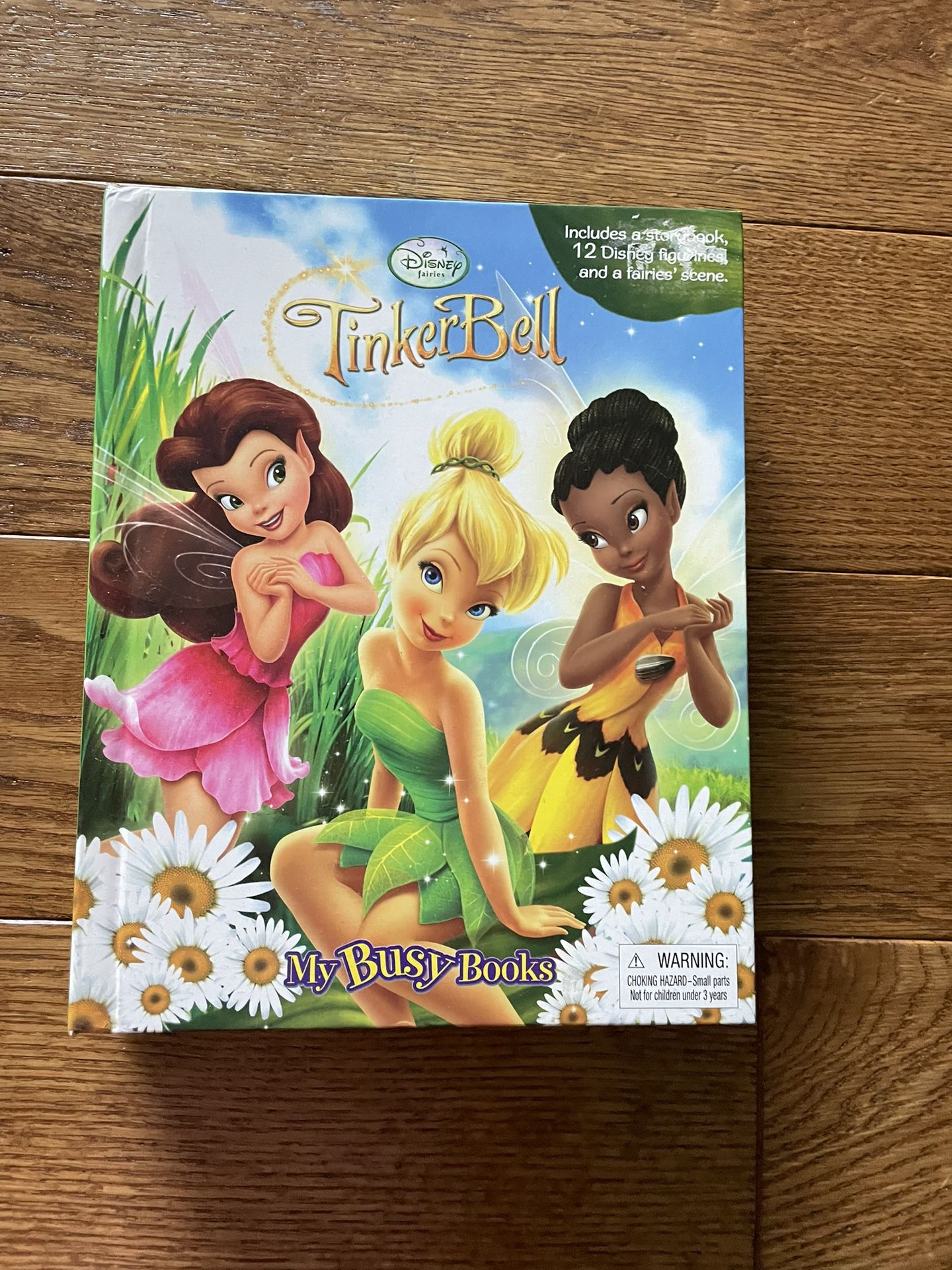Tinkerbell Book