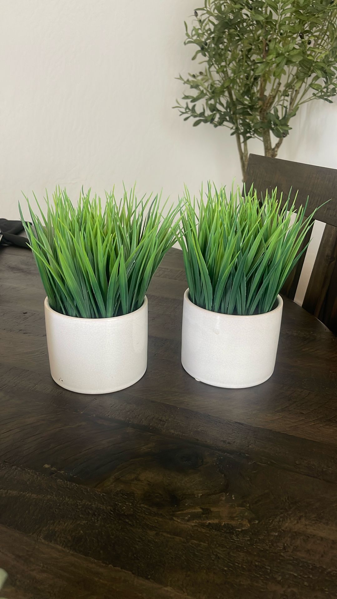 Set Of Grass Plants Decor