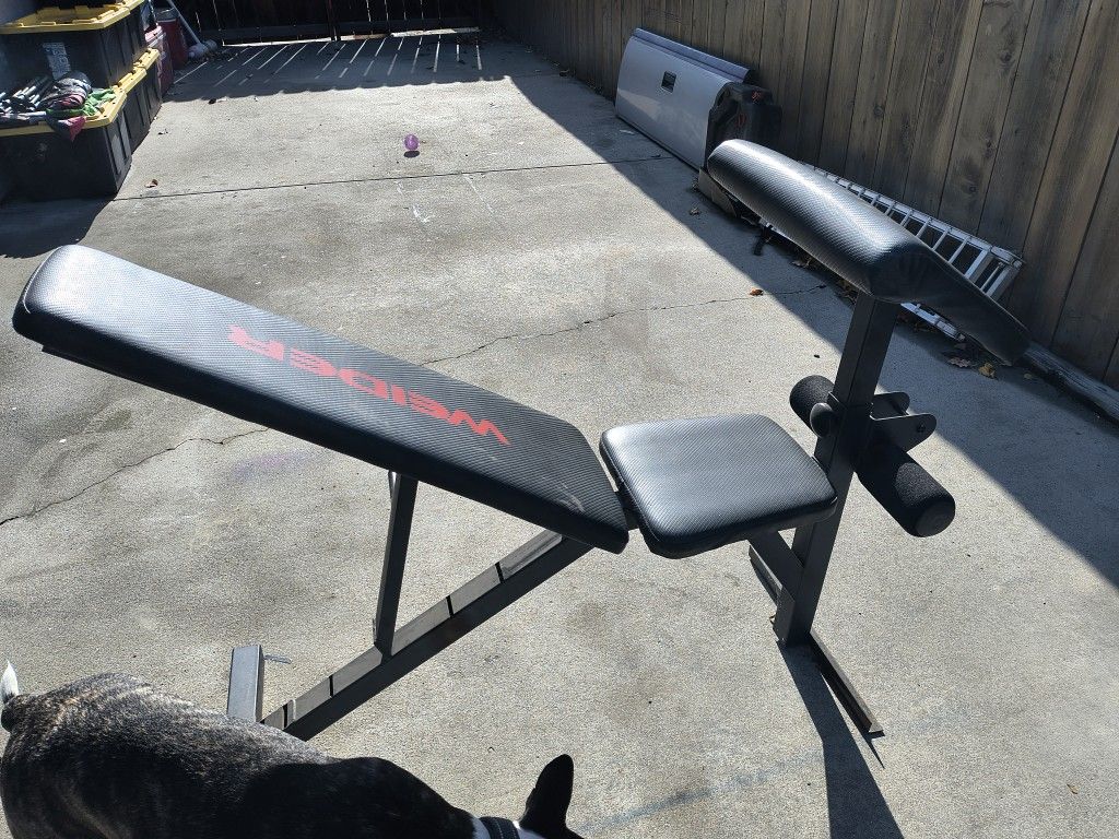 Weight Bench