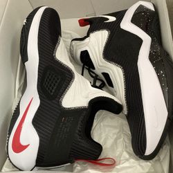 LEBRON Witness Size 11