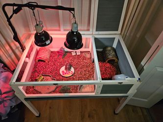 Tortiose habitat