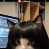 Kitty