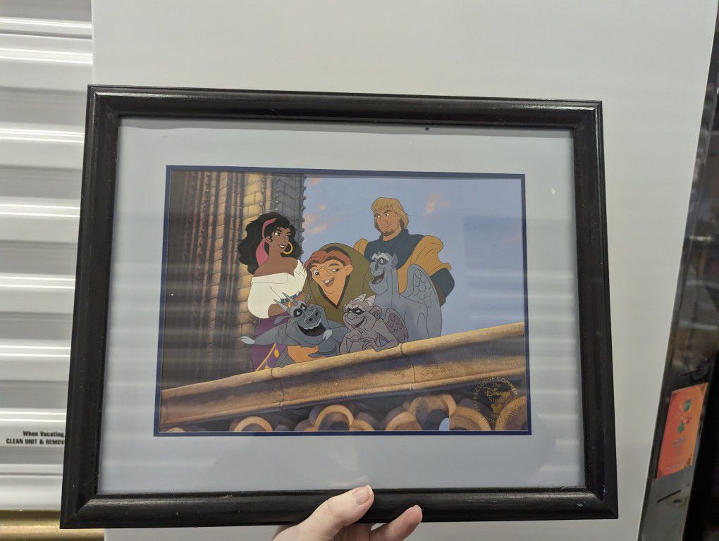 Disney Collectors Disney Picture Framed