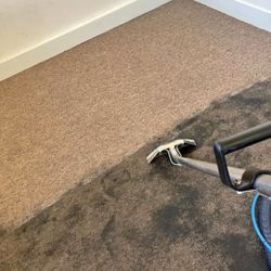 CARPET STEAM 