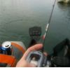 basskithead