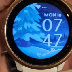 Garmin top fenix s6