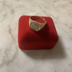 Mens Ring 10 Karat