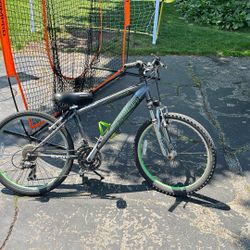 Schwinn Cascade Kids Bike