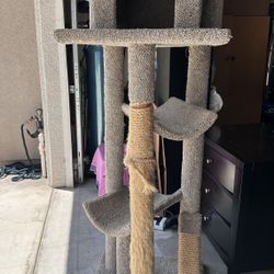 Multi-Level Carpeted Cat Tree, pick up in Temple city